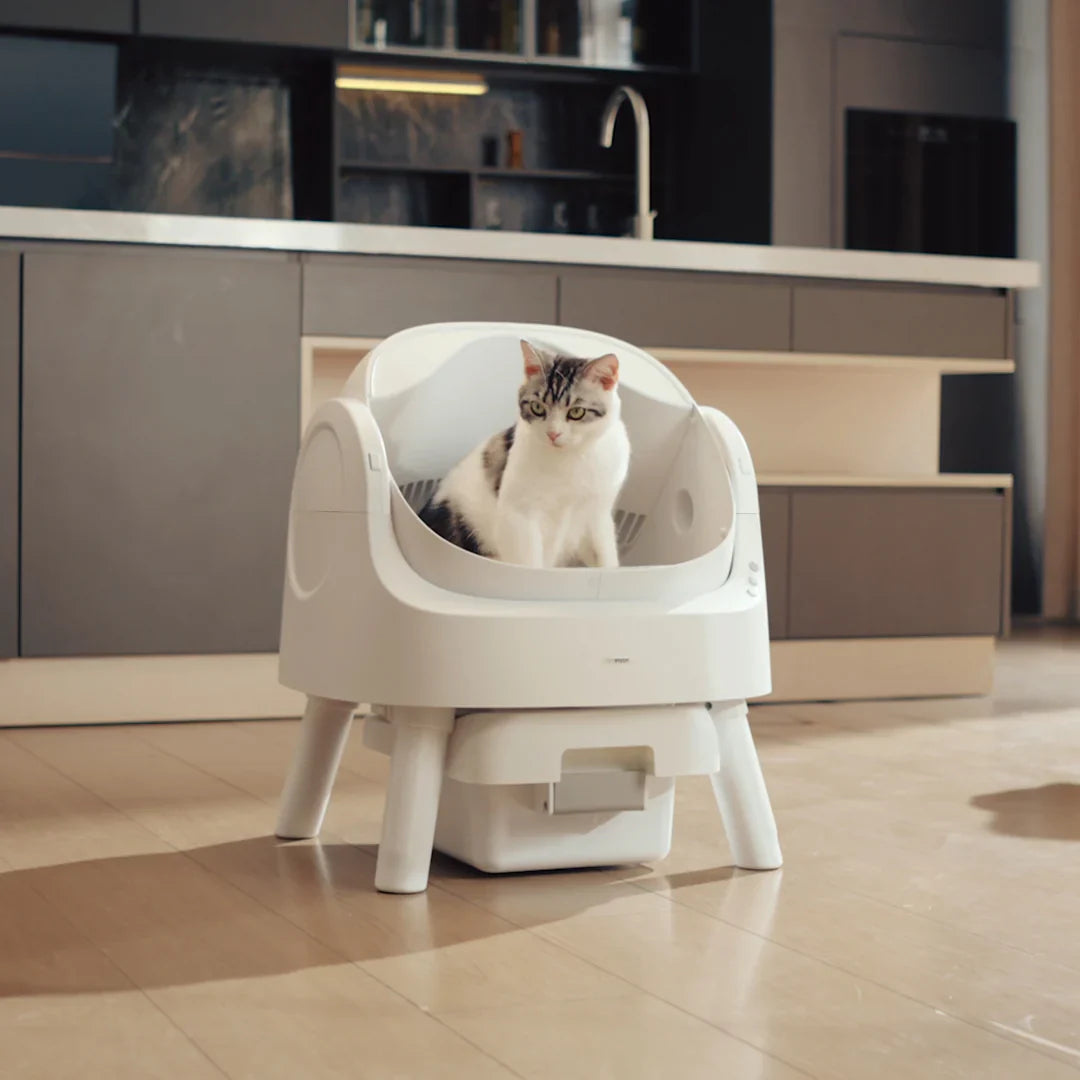 Autoscooper 11 Open-Top Self-Cleaning Litter Box