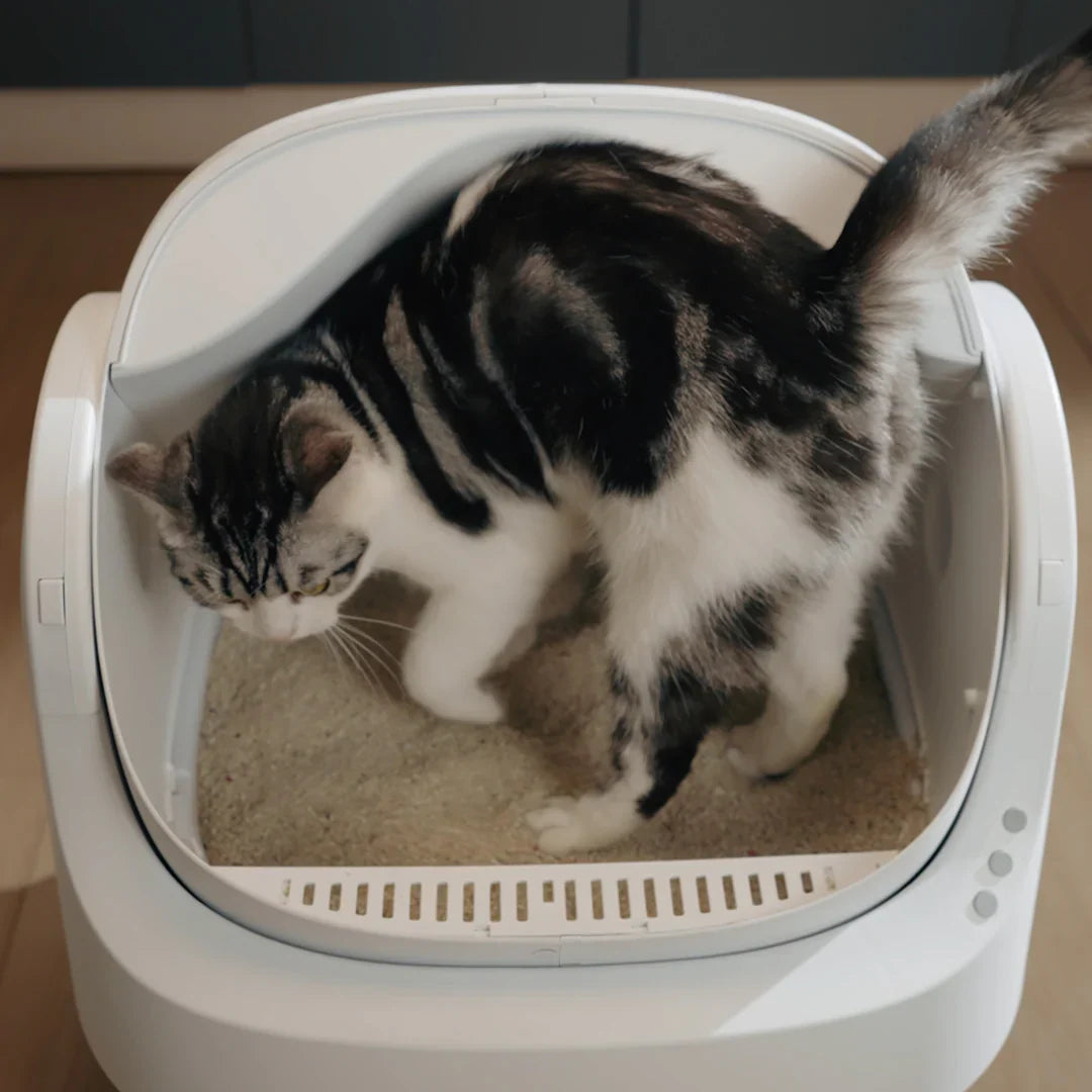 Autoscooper 11 Open-Top Self-Cleaning Litter Box