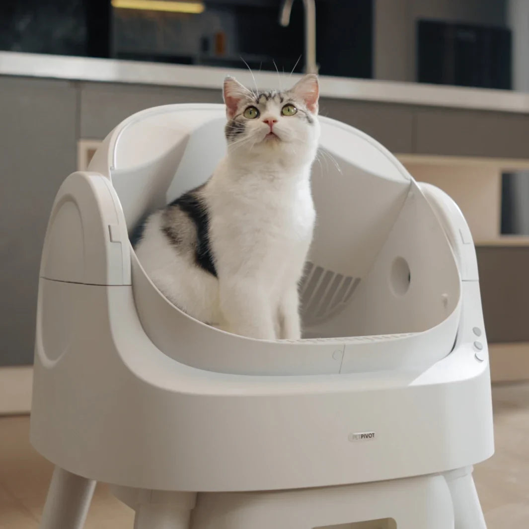 Autoscooper 11 Open-Top Self-Cleaning Litter Box