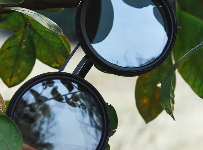 Black Lens Sunglasses