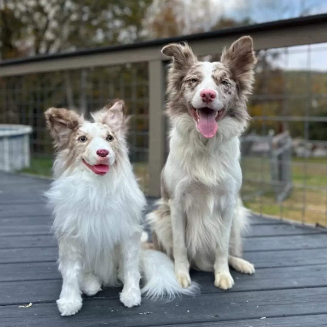 Original Plush Cuddle Clone