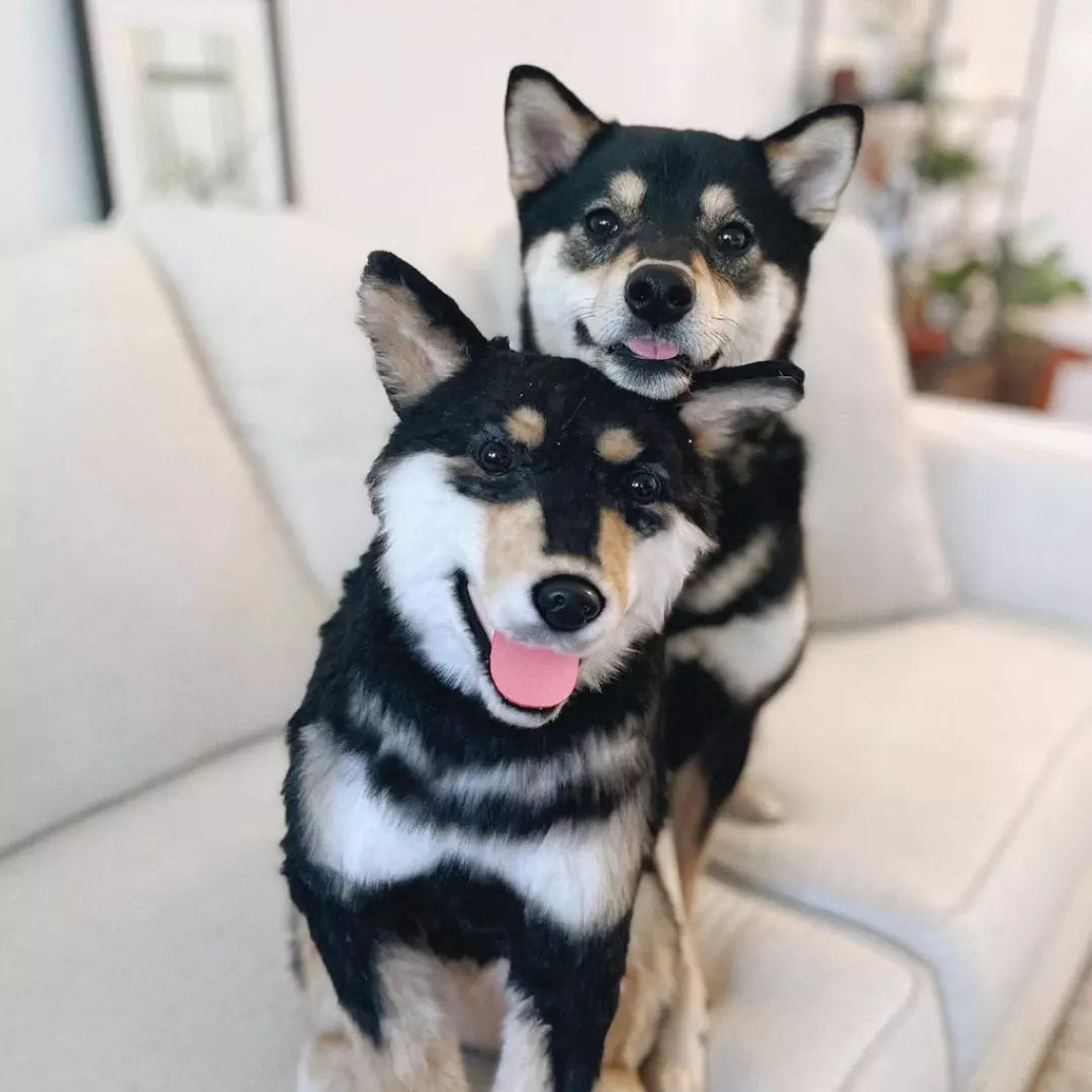 Original Plush Cuddle Clone