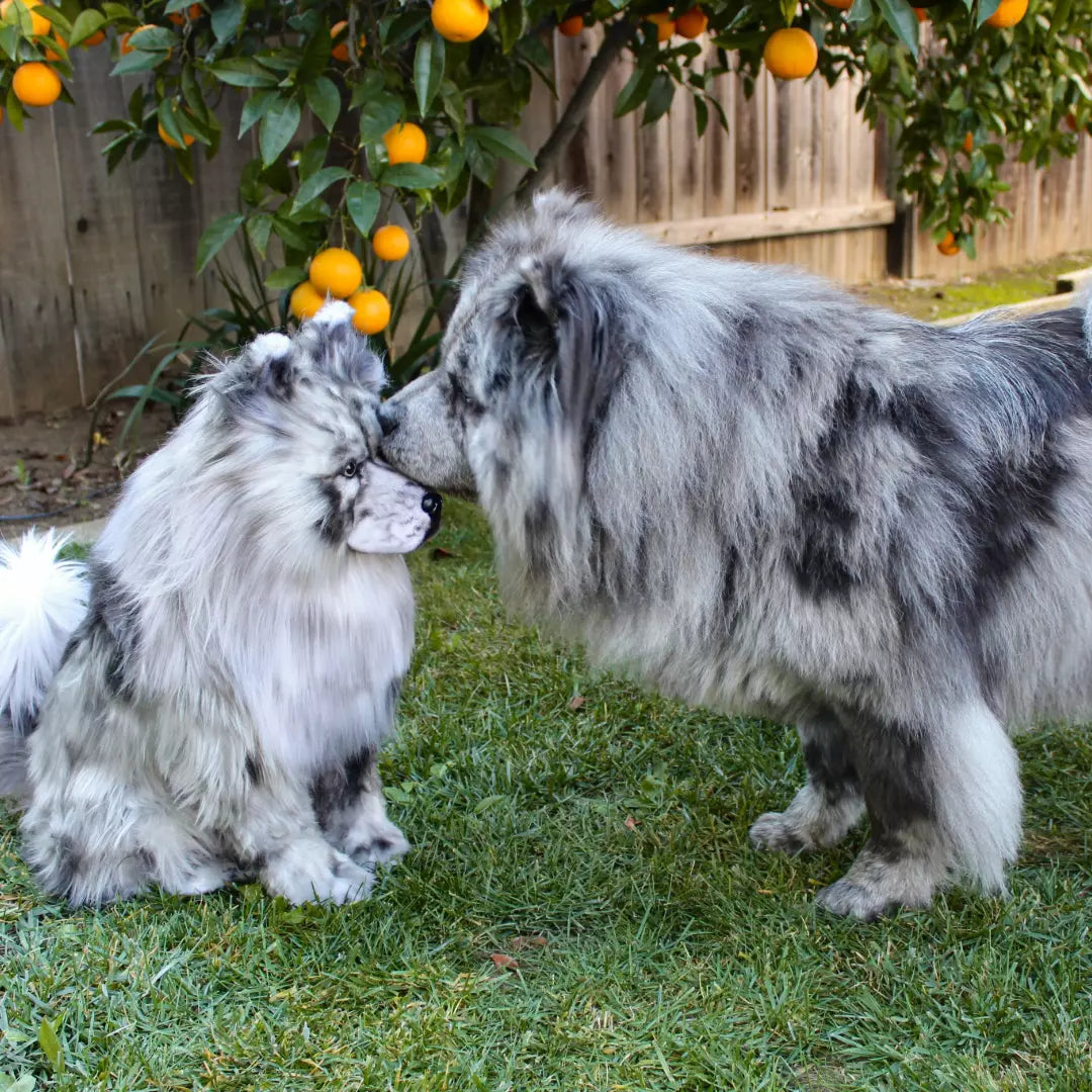 Original Plush Cuddle Clone