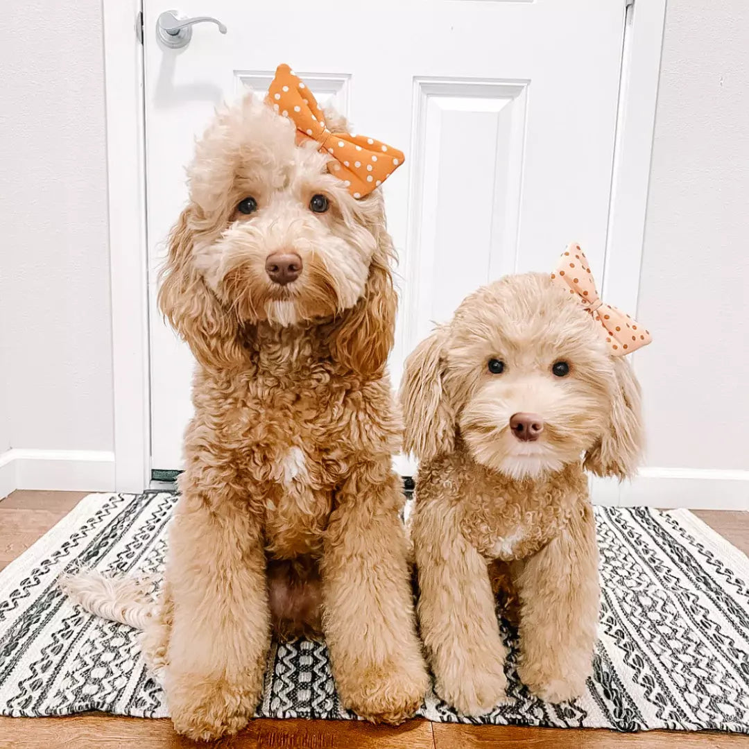 Original Plush Cuddle Clone